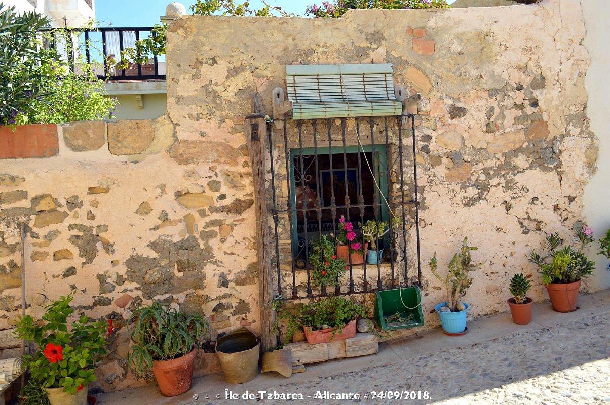 21 ALICANTE L ILE DE TABARCA (152).JPG